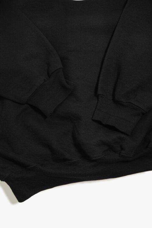 90'S HANES GEAPS PRINTED SWEAT
