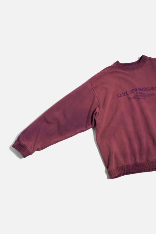 LEVI'S  PIGMENT DYE EMBROIDERY SWEAT