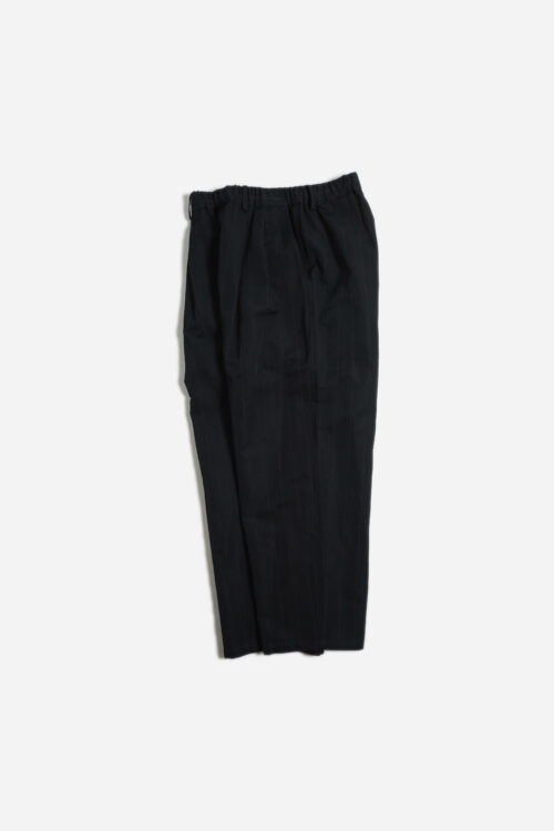 DOUBLE PLEATED EASY PANTS - STRIPE -