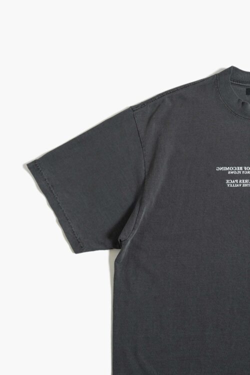 PIGMENT DROP SHOULDER T-SHIRT - BLOSSOM -
