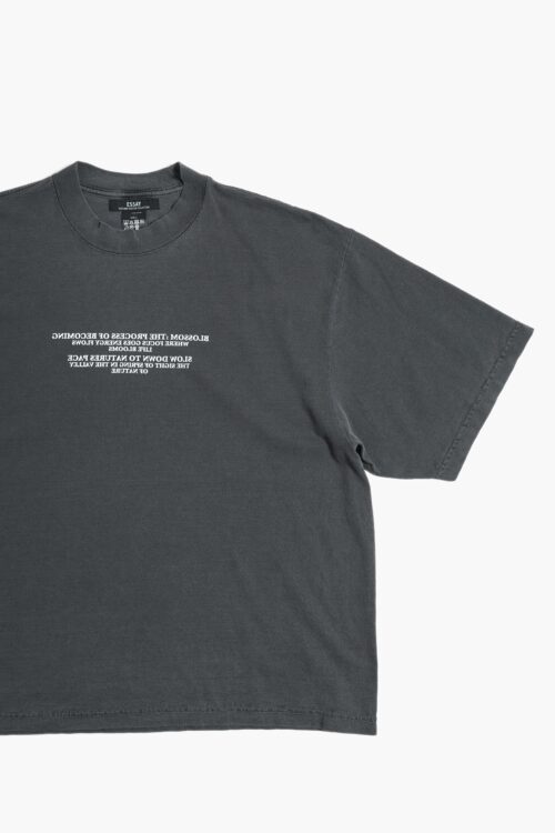 PIGMENT DROP SHOULDER T-SHIRT - BLOSSOM -