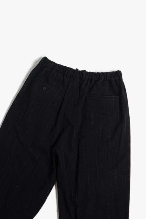 DOUBLE PLEATED WIDE EASY PANTS - KASURI STRIPE - 