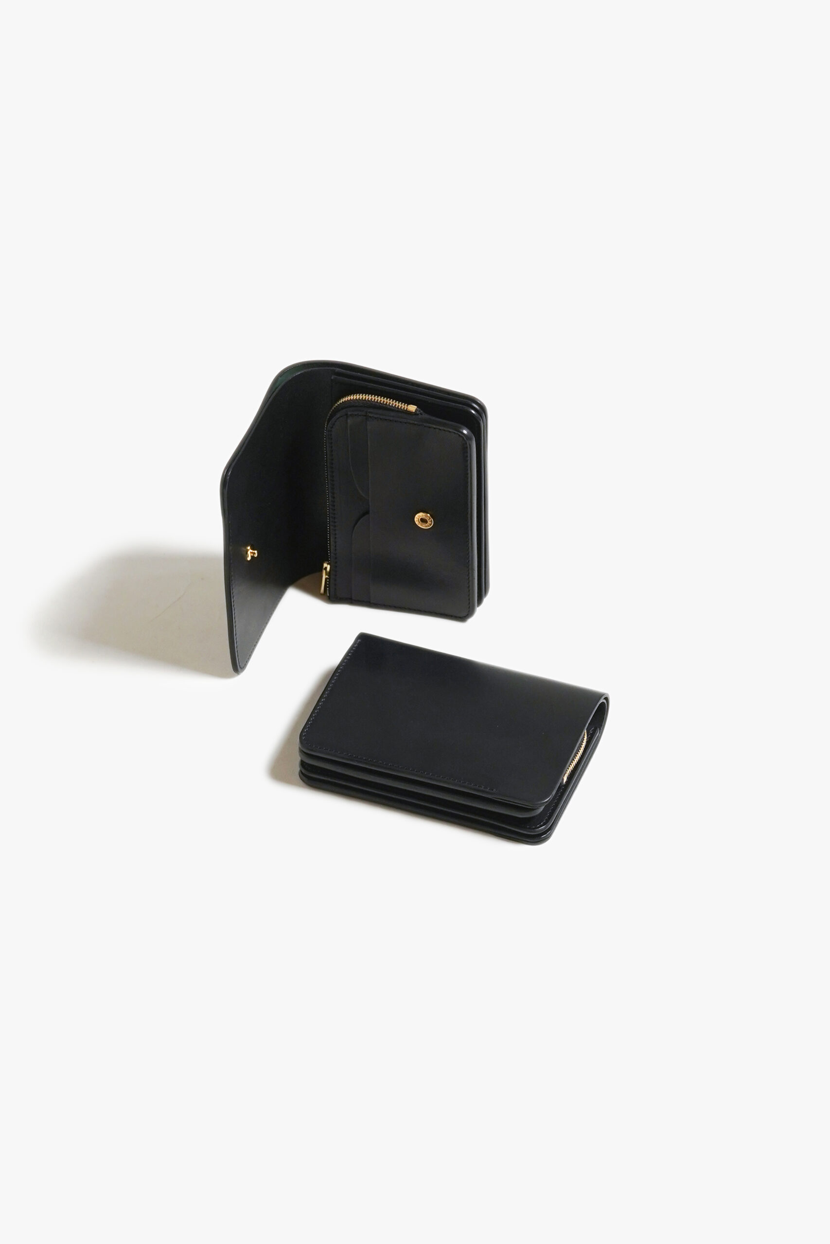SHORT WALLET CORDOVAN  BLACK × BLACK